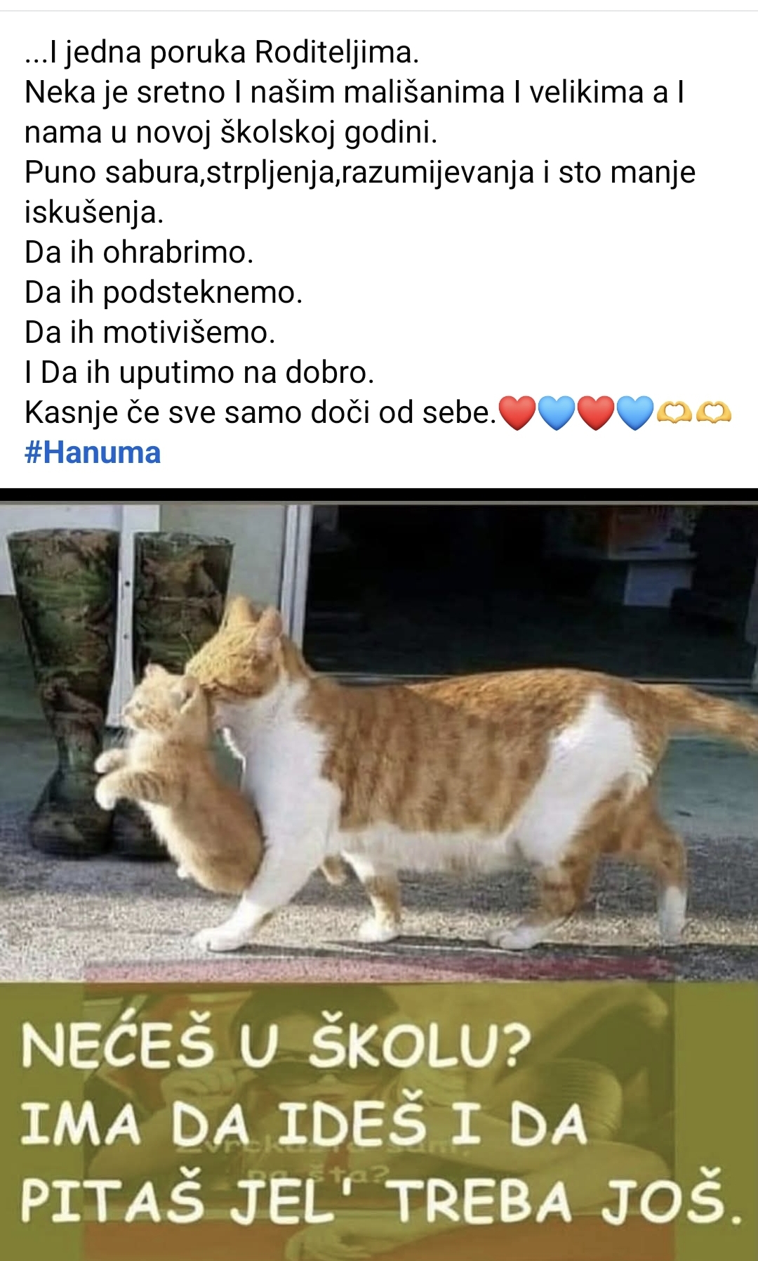 @🇧🇦Zikuna Ribo🇸🇮