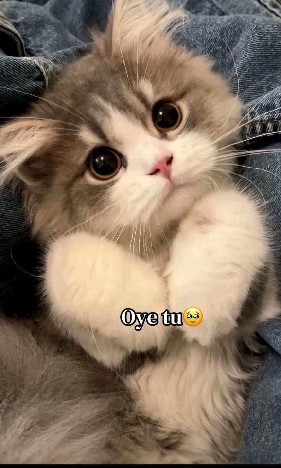 @❤️🩹 yeimi ❤️🩹