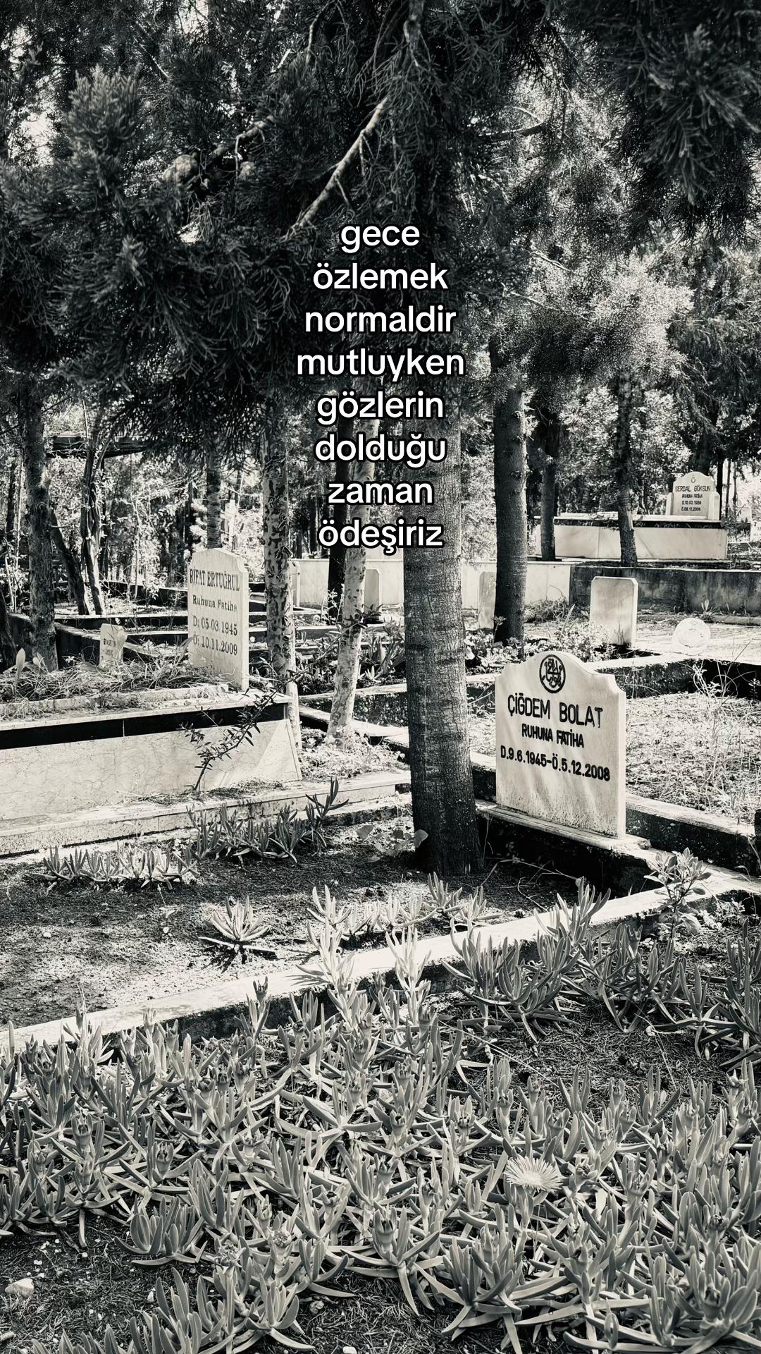 @adanakebap