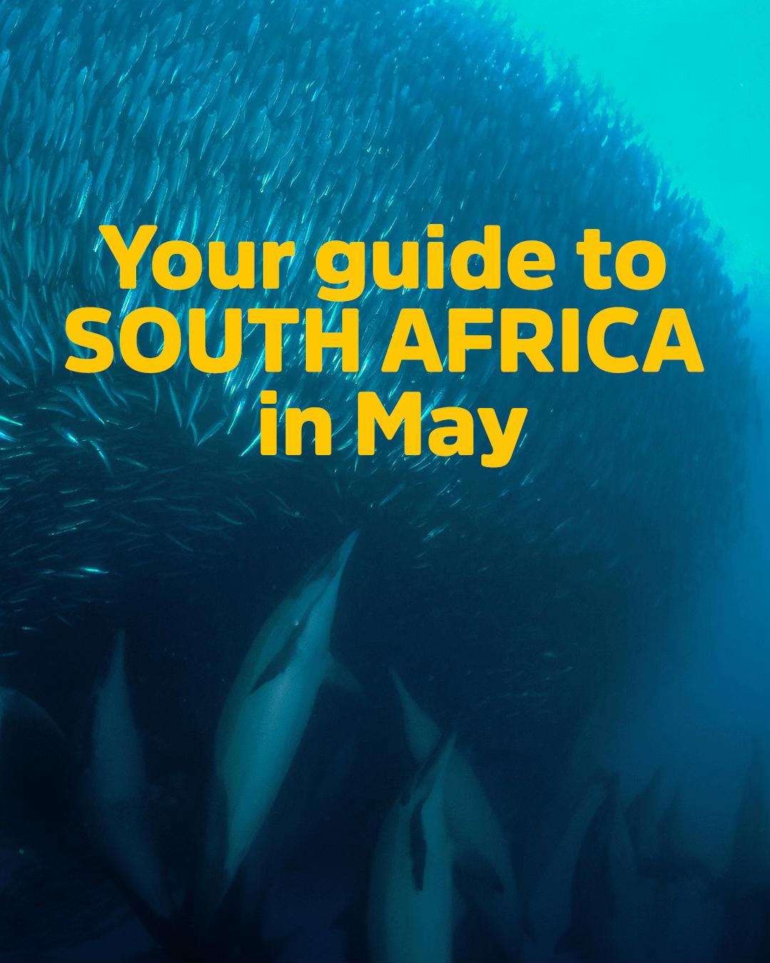 @South Africa UK