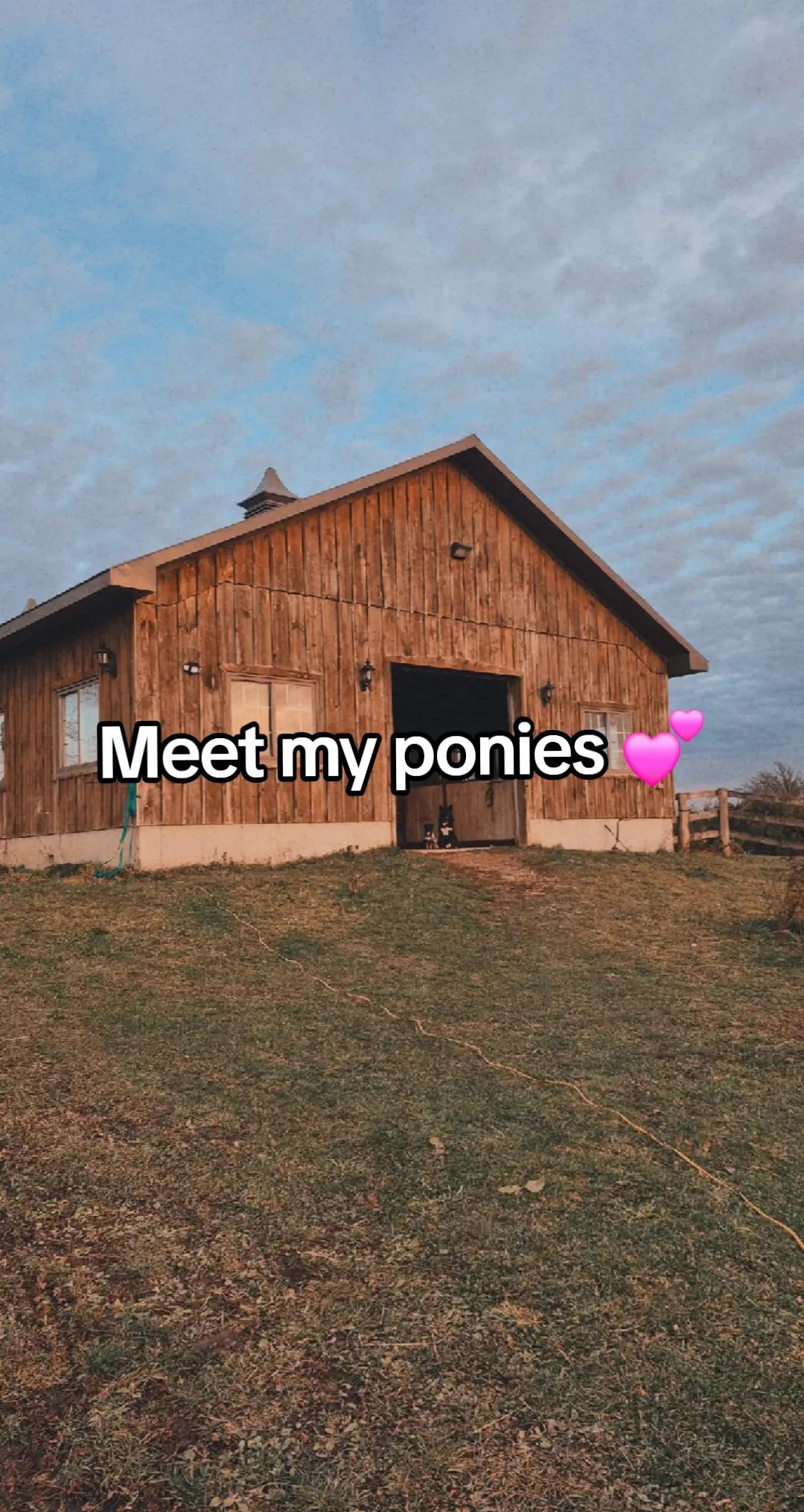 @Tiana 👩🏽&zwj;🌾🐴