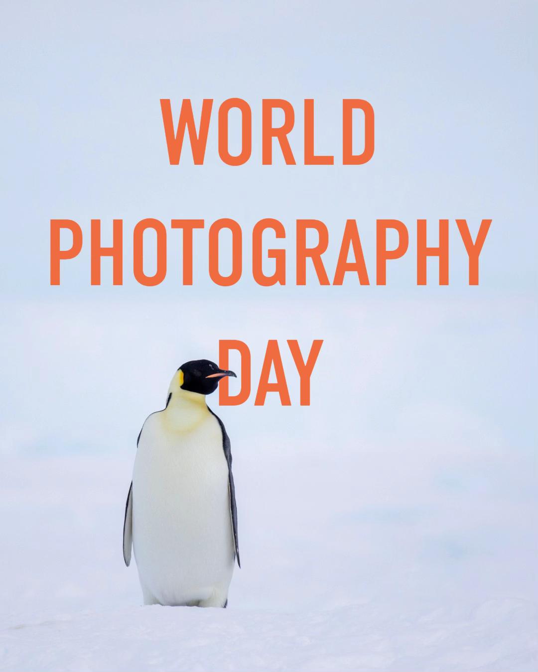 @Matty Jordan | Antarctica
