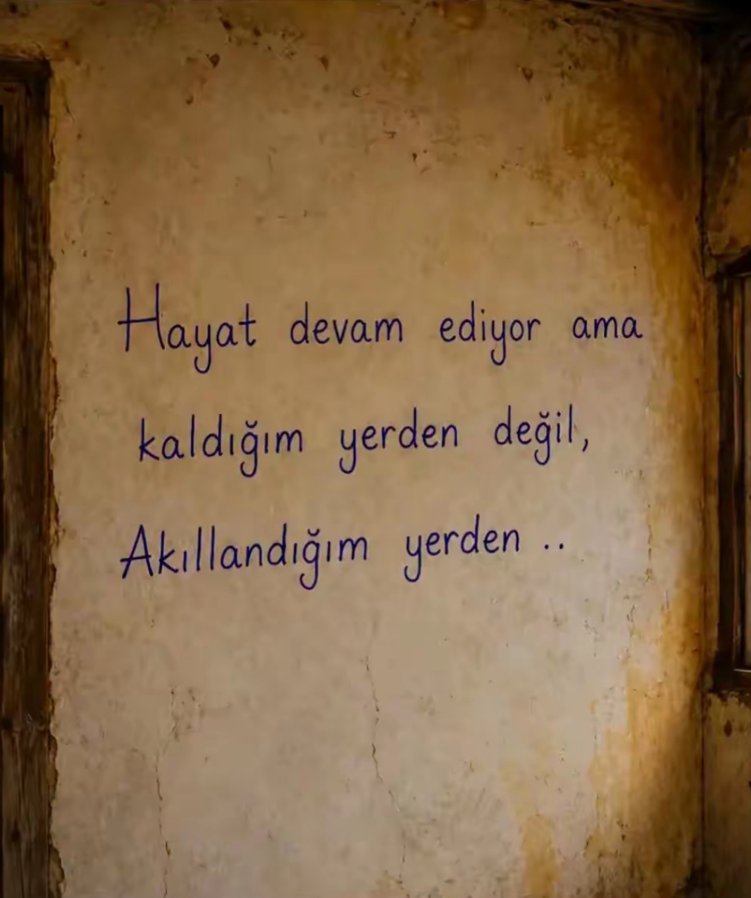 @Nevin Kuytak