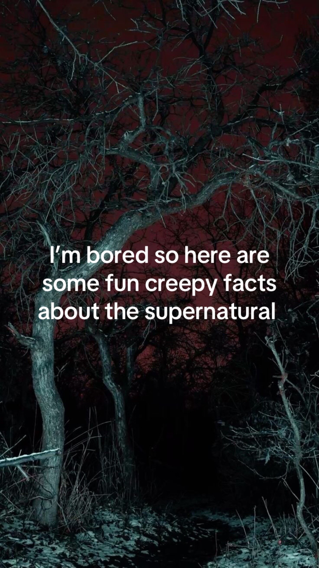 @Spider