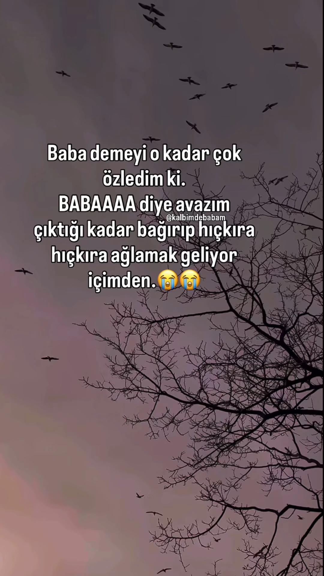 @Hayaldik_ikimiz