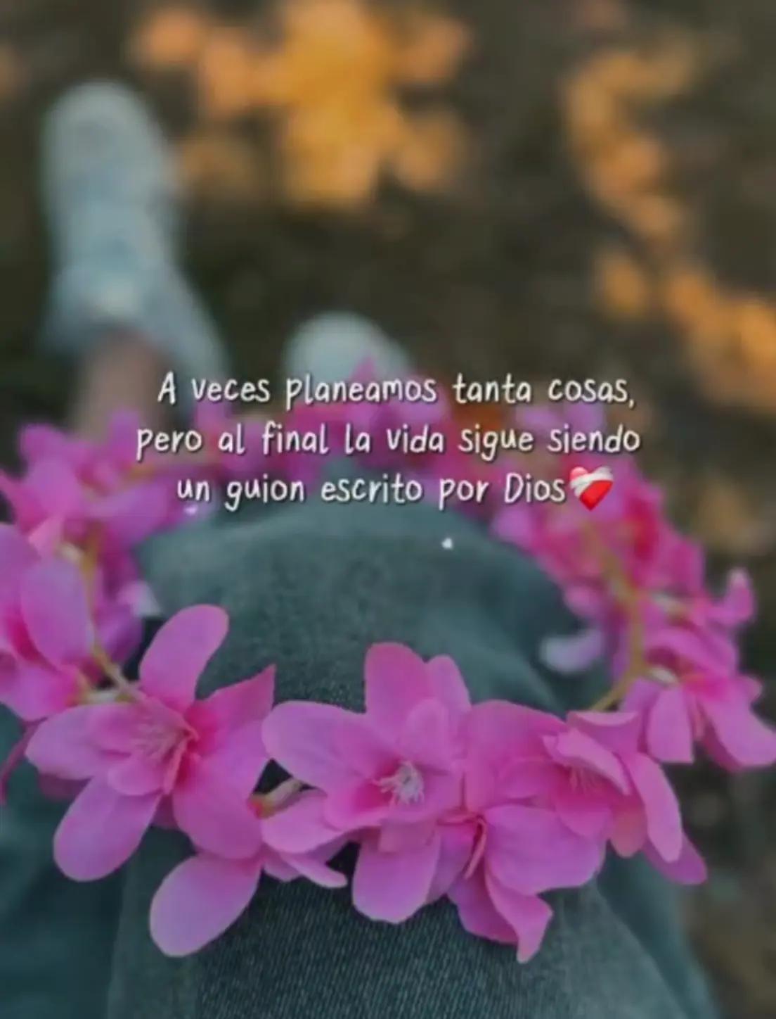 @🌵🪄 Evelyn 🌼 💫