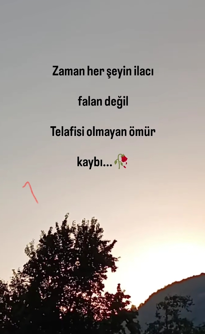 @mecnun