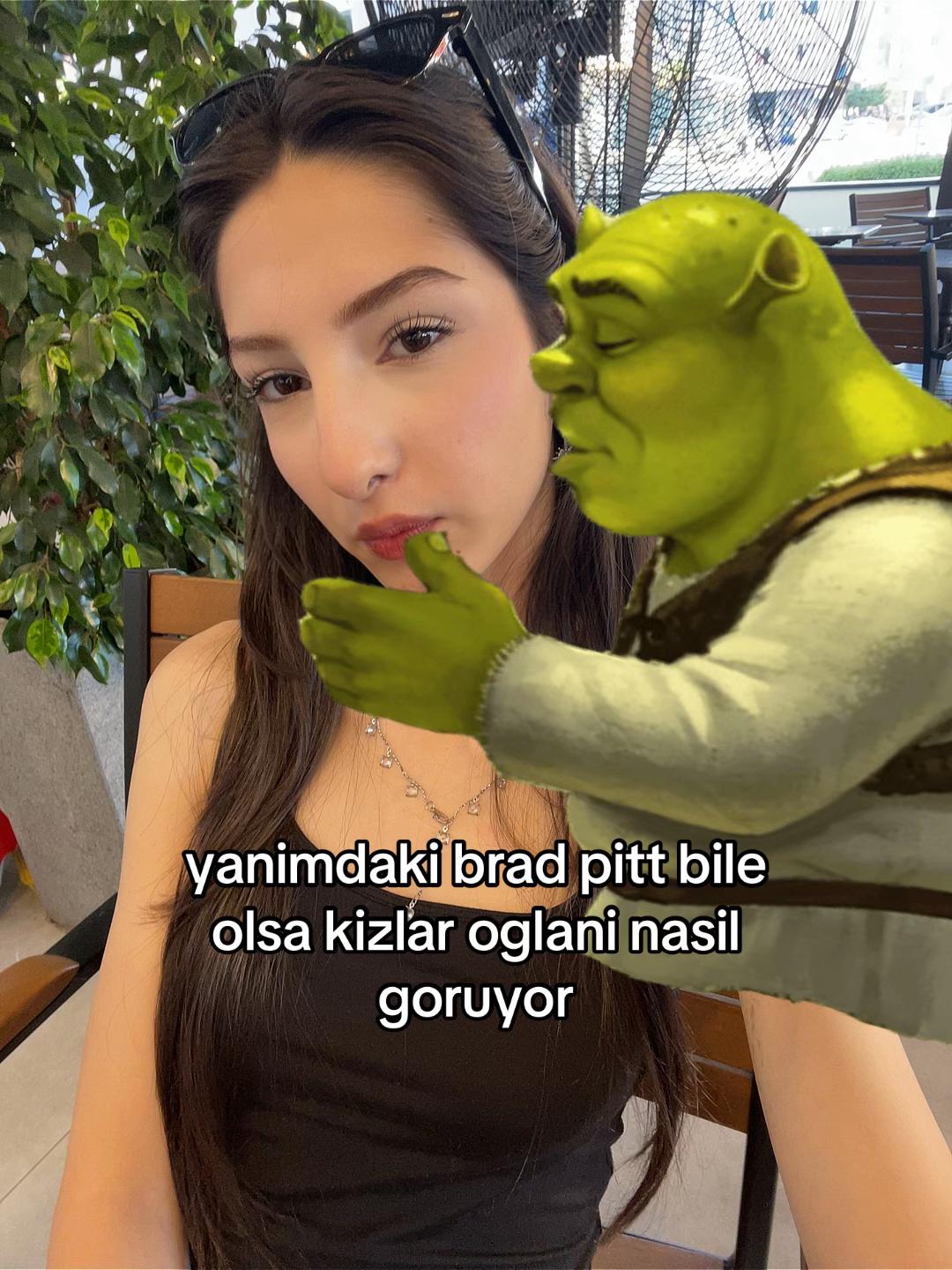 @zisofren