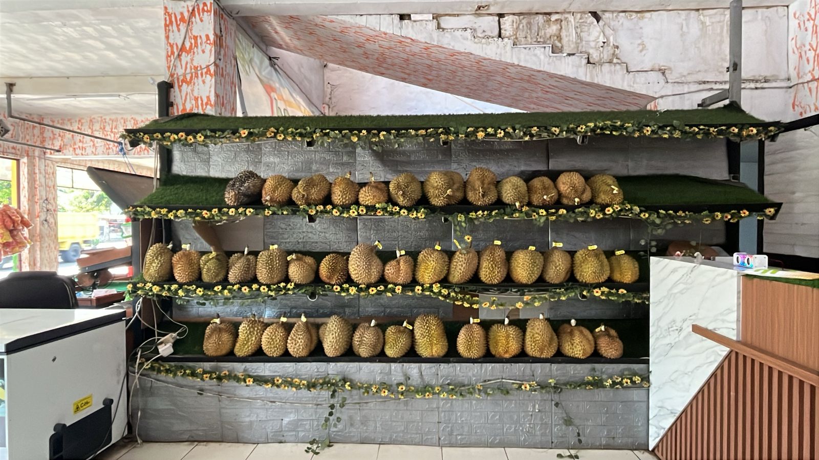 @Kenzhi Durian Tuban