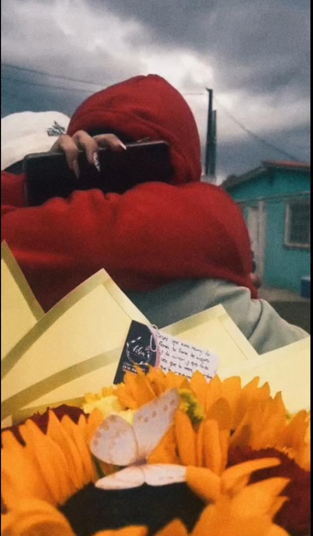 @catta🦋