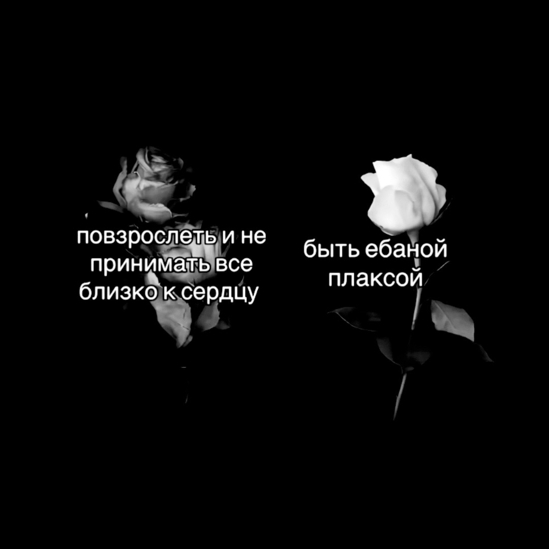 @vvontl