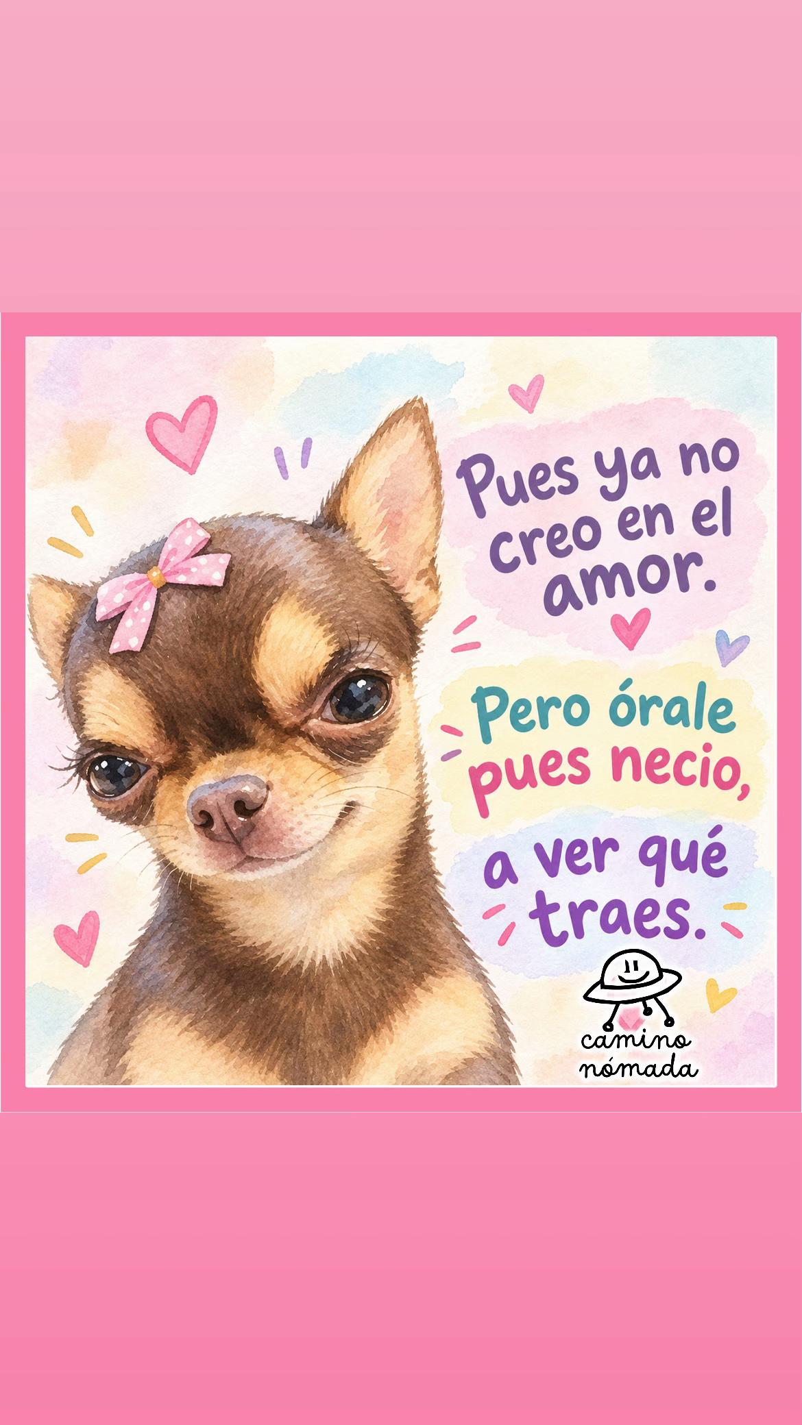 @Camino Nómada