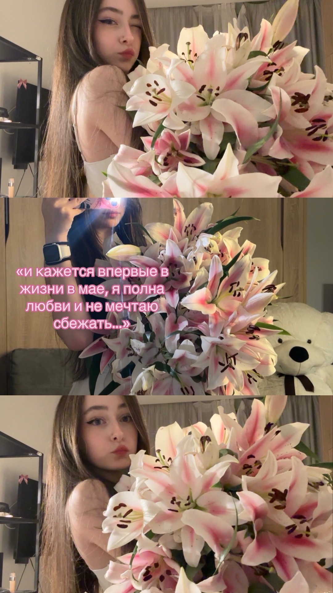 @алисвекс