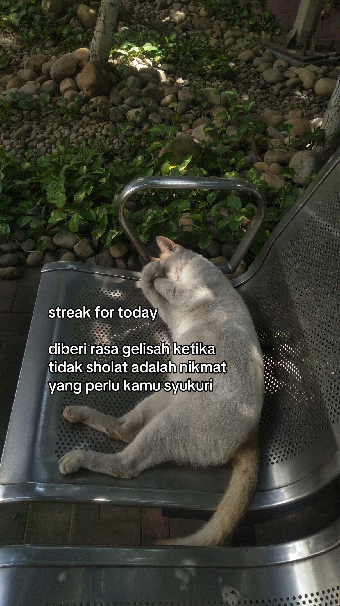 @mas m