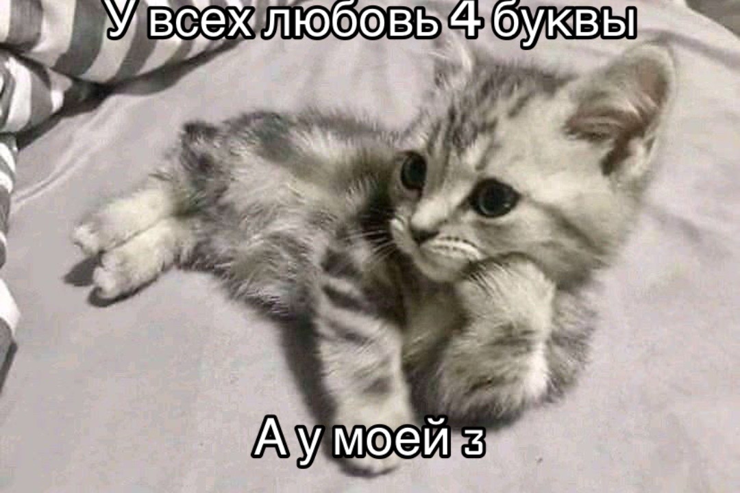 @СЛЕЙ ДИВА🥵🥵☹️🤯☹️😳😖🥵😣🥶