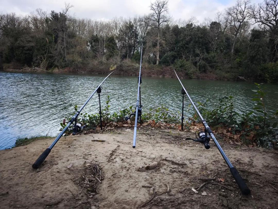@perfect-fishing