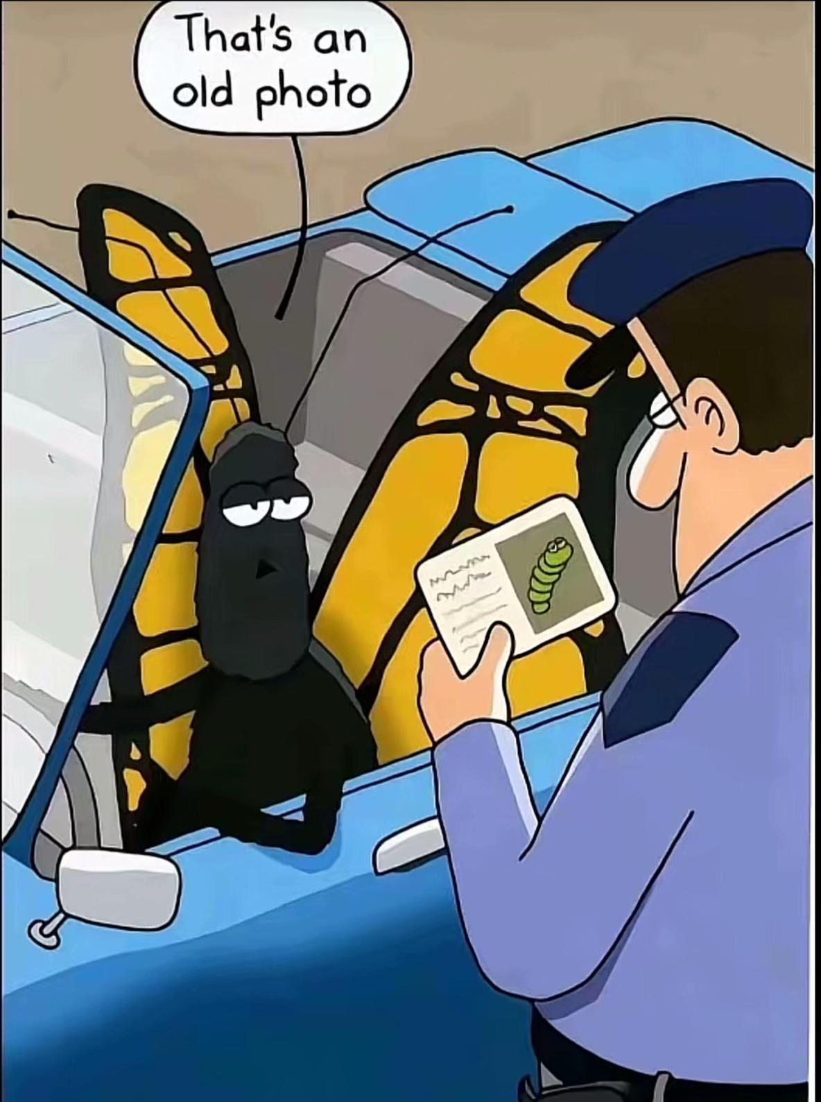 @ẞlő