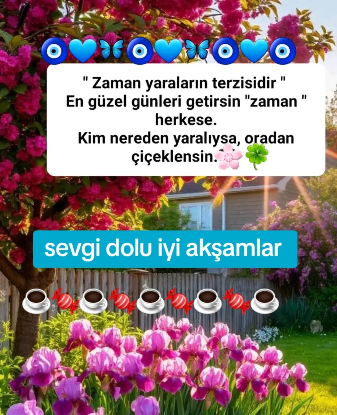 @🇹🇷Yasemin 01 35🇹🇷