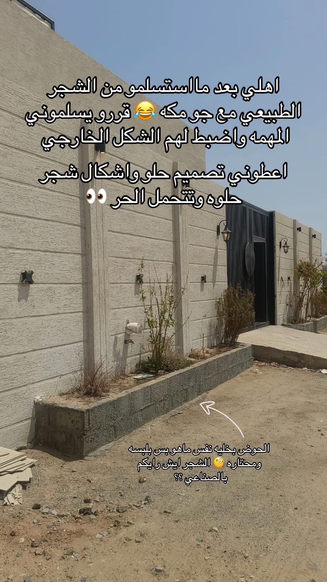 @فوز محمد 🌱