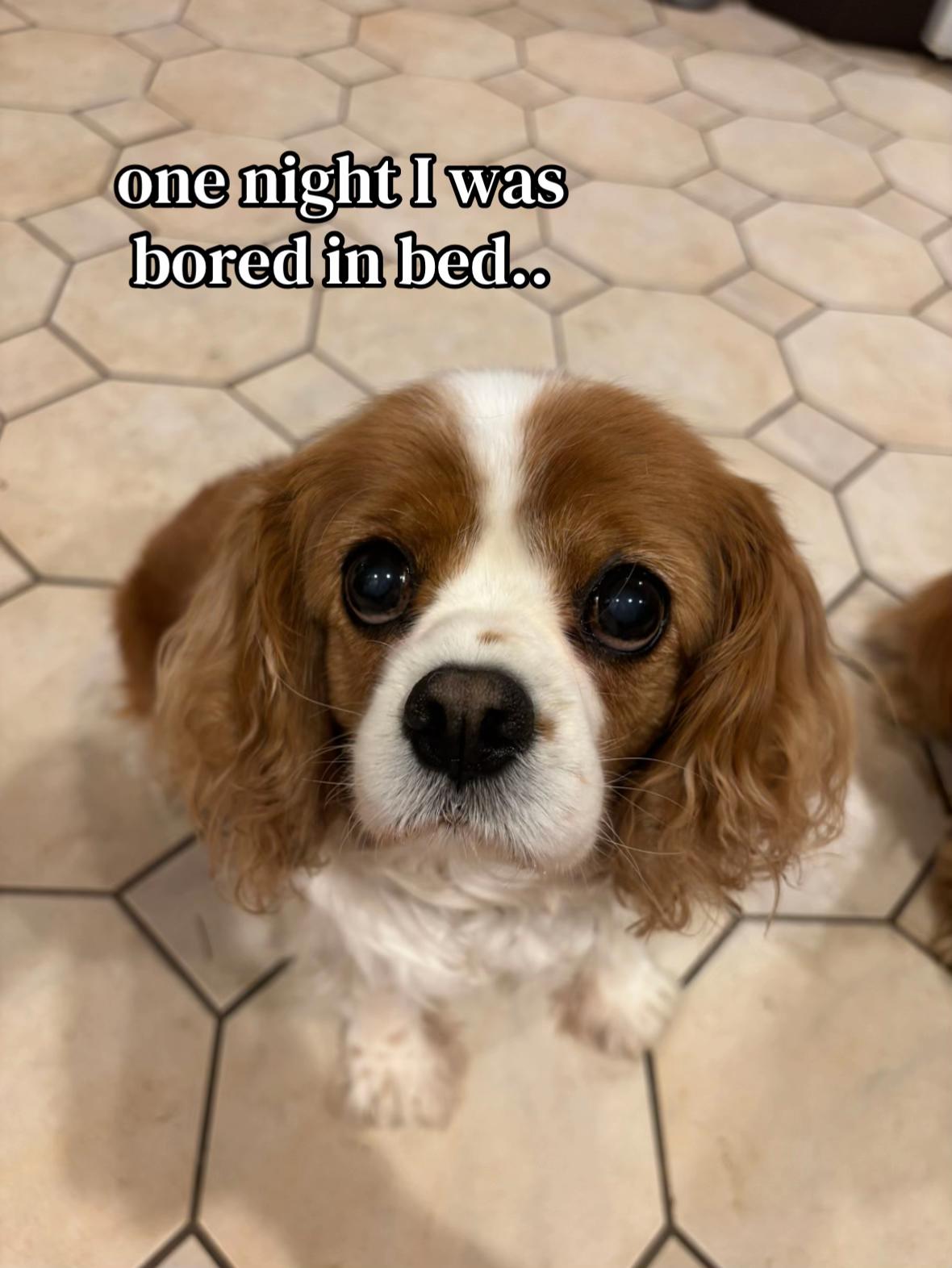 @🦴˖˚ ᴊ𝘶ꪀꫀ ˖˚🌼
