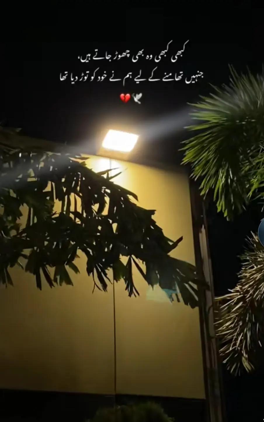 @👑乙ムIN ヅ