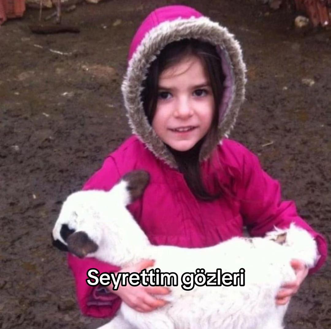 @Hazal
