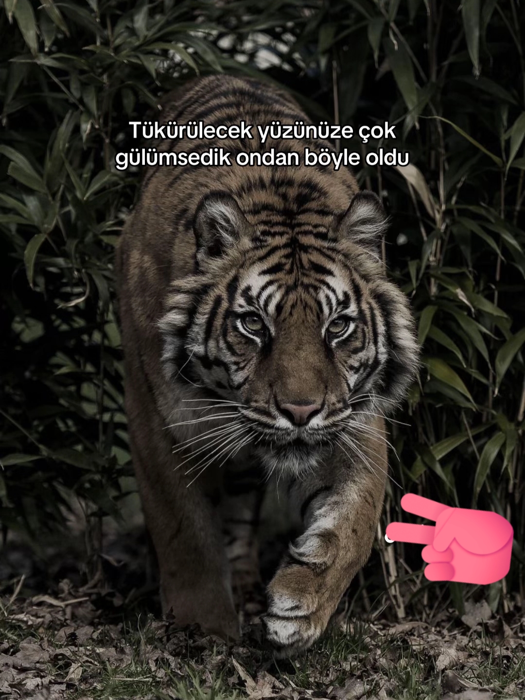 @Emrah.d27