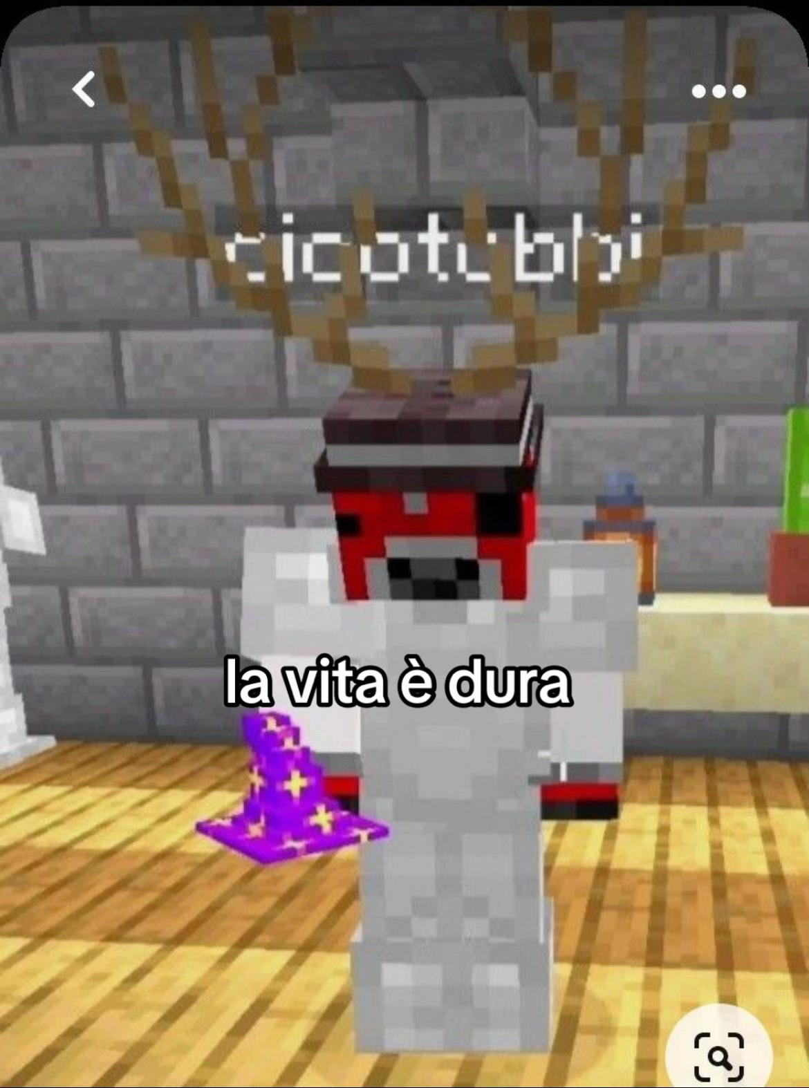 @cicotobbii