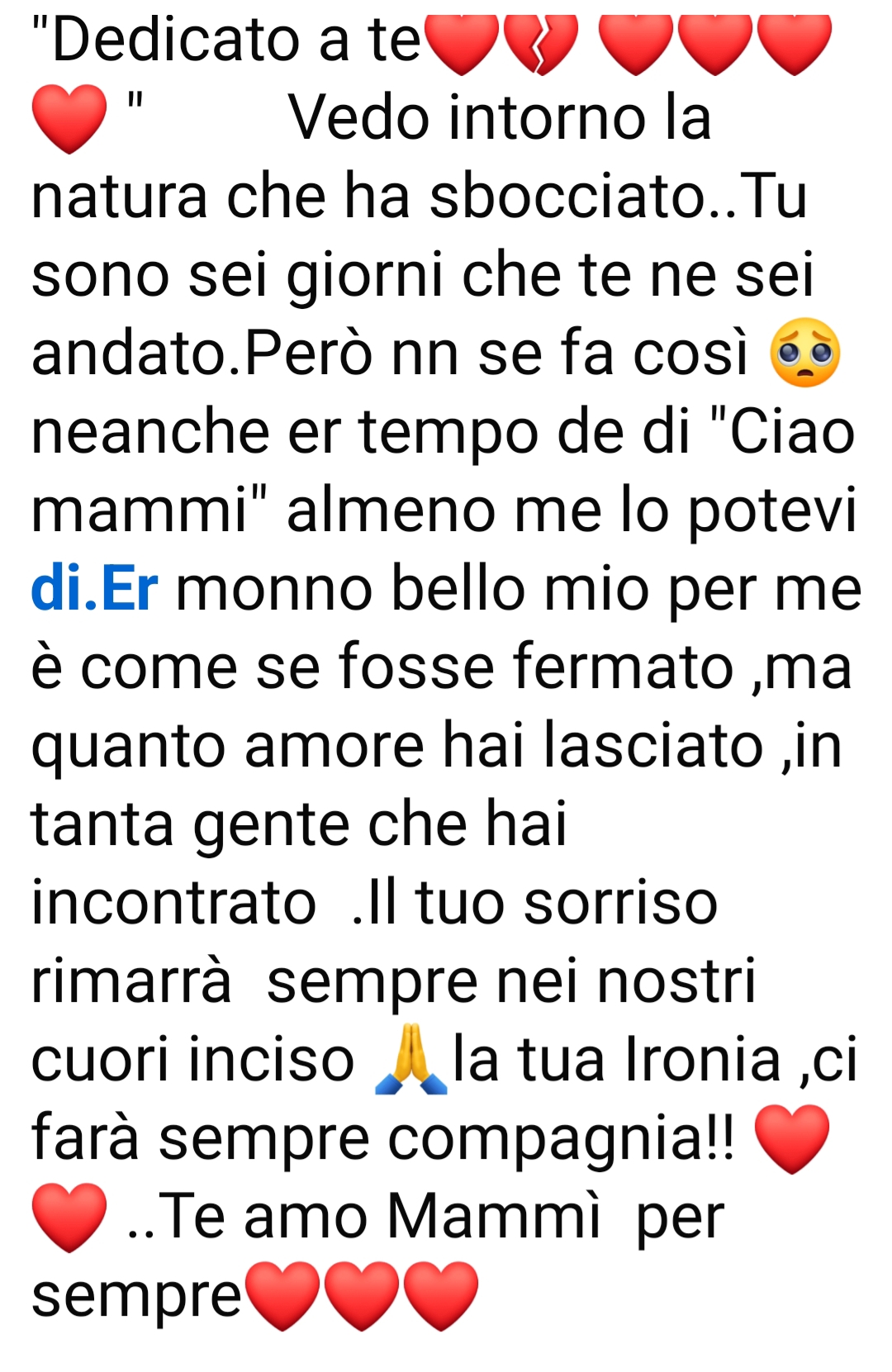 @Cinnderella