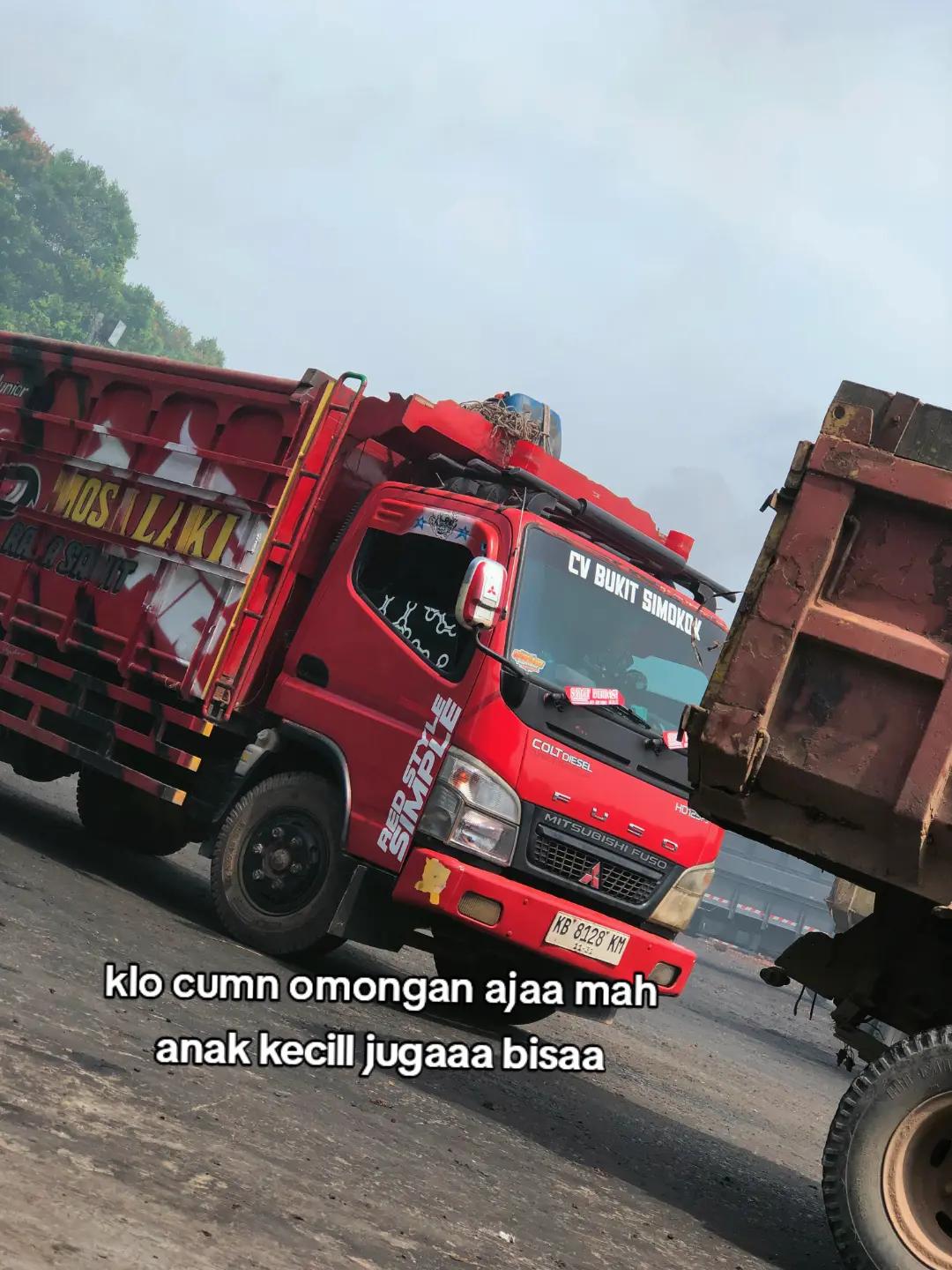 @sintetek ijo_03