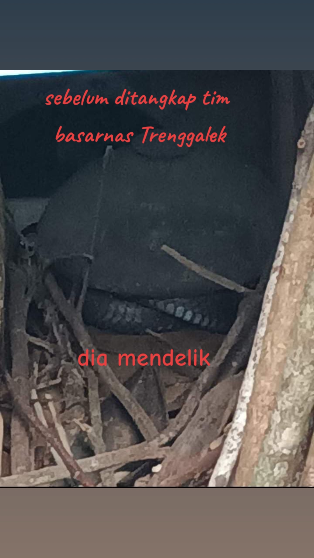 @Jawaban Dari Doa-doa mu (Jawa)