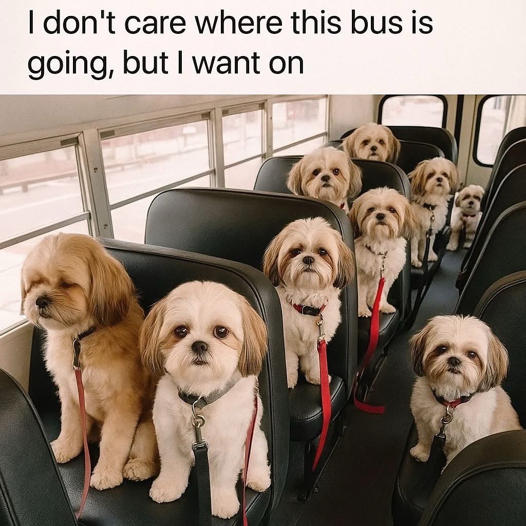 @SJ