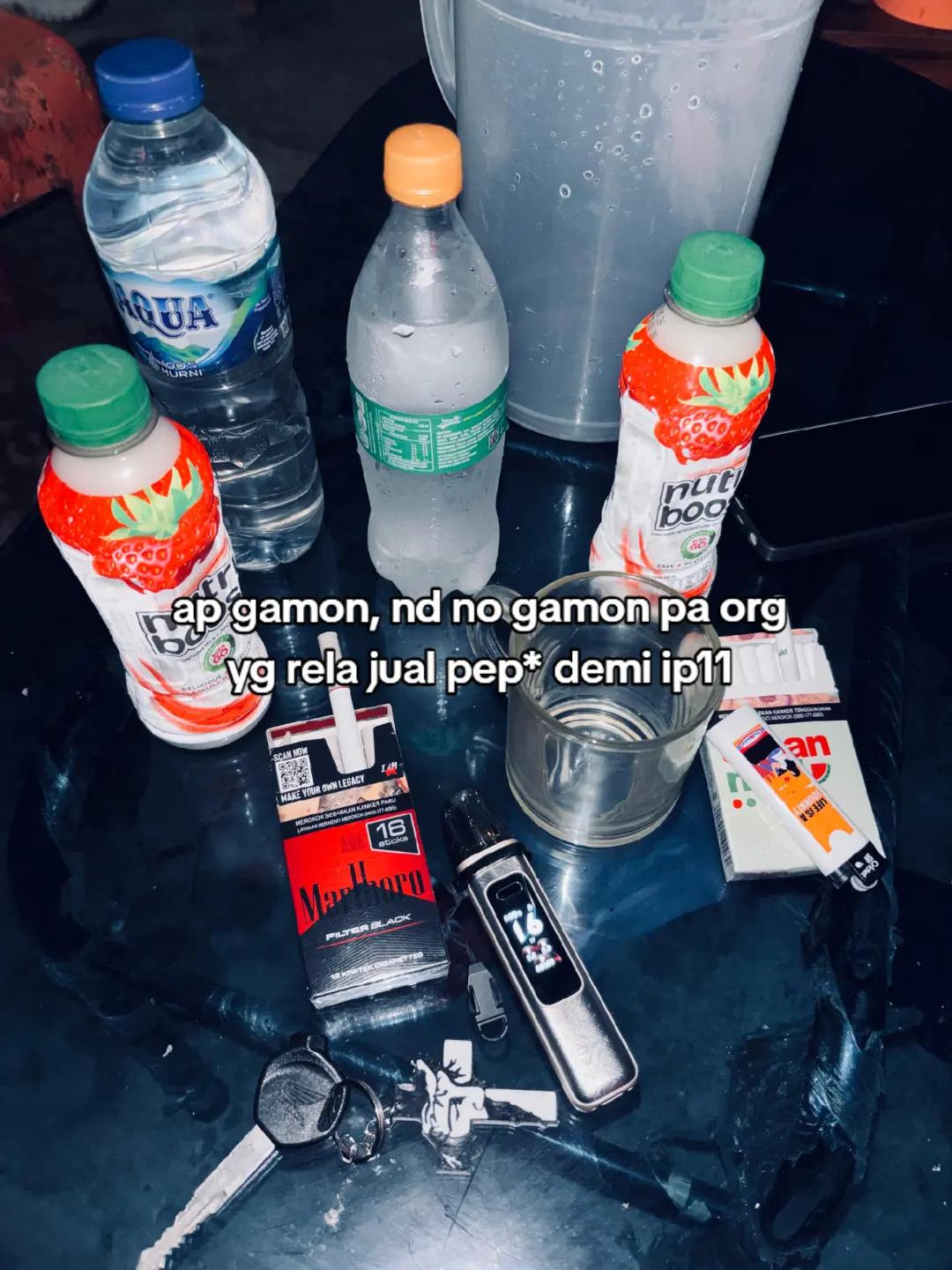 @Jovan🐊