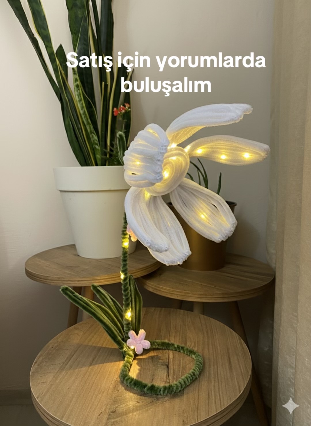 @hiloura