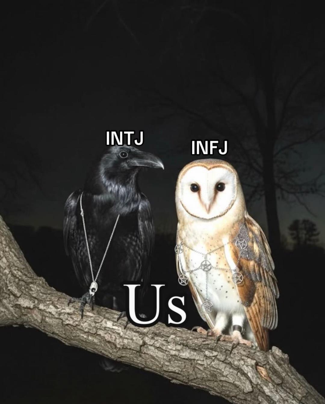 @Nolv.MBTI