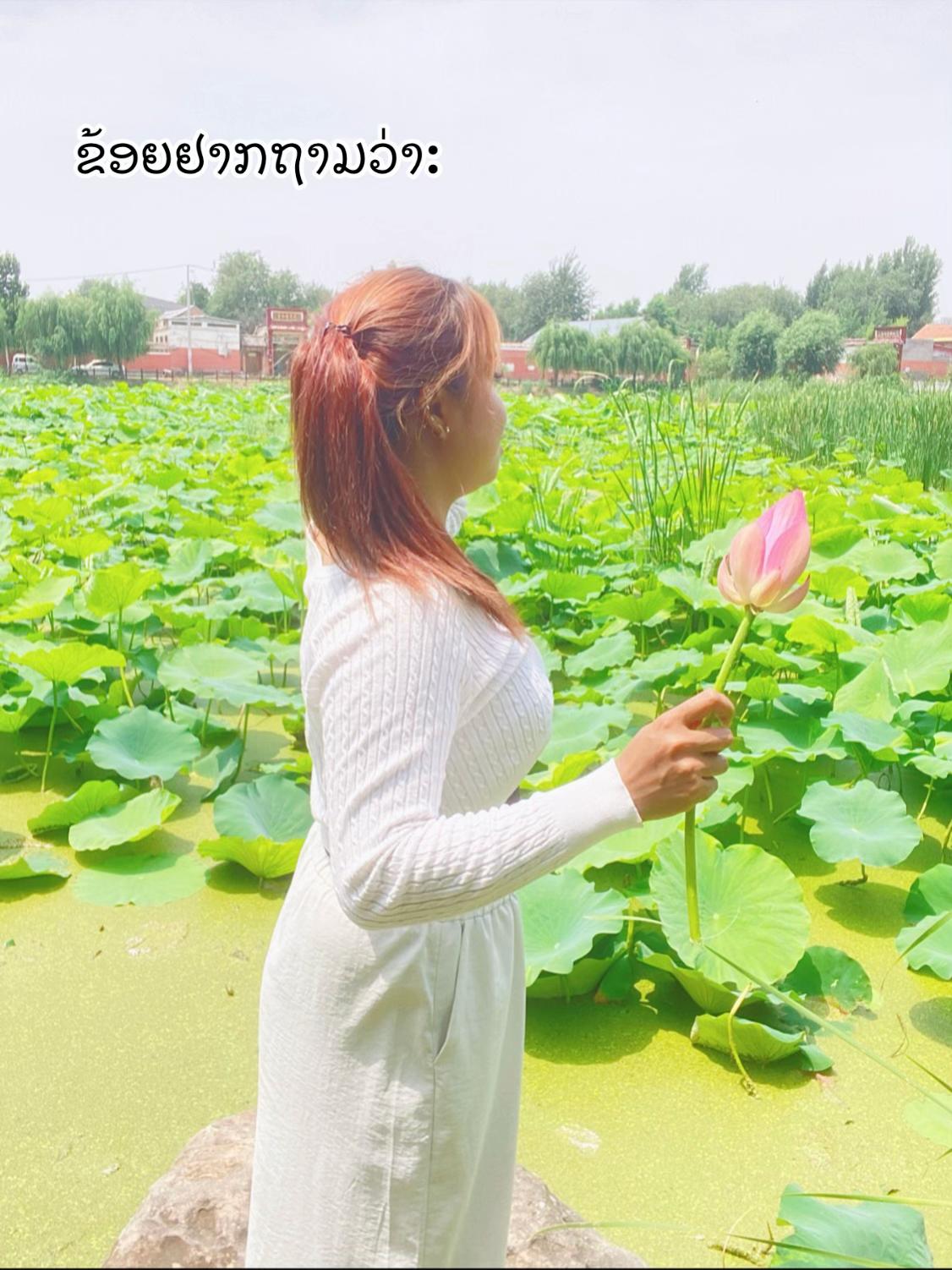 @นุ่นที่ไม่ใช่ฝ้าย🌸🌫️
