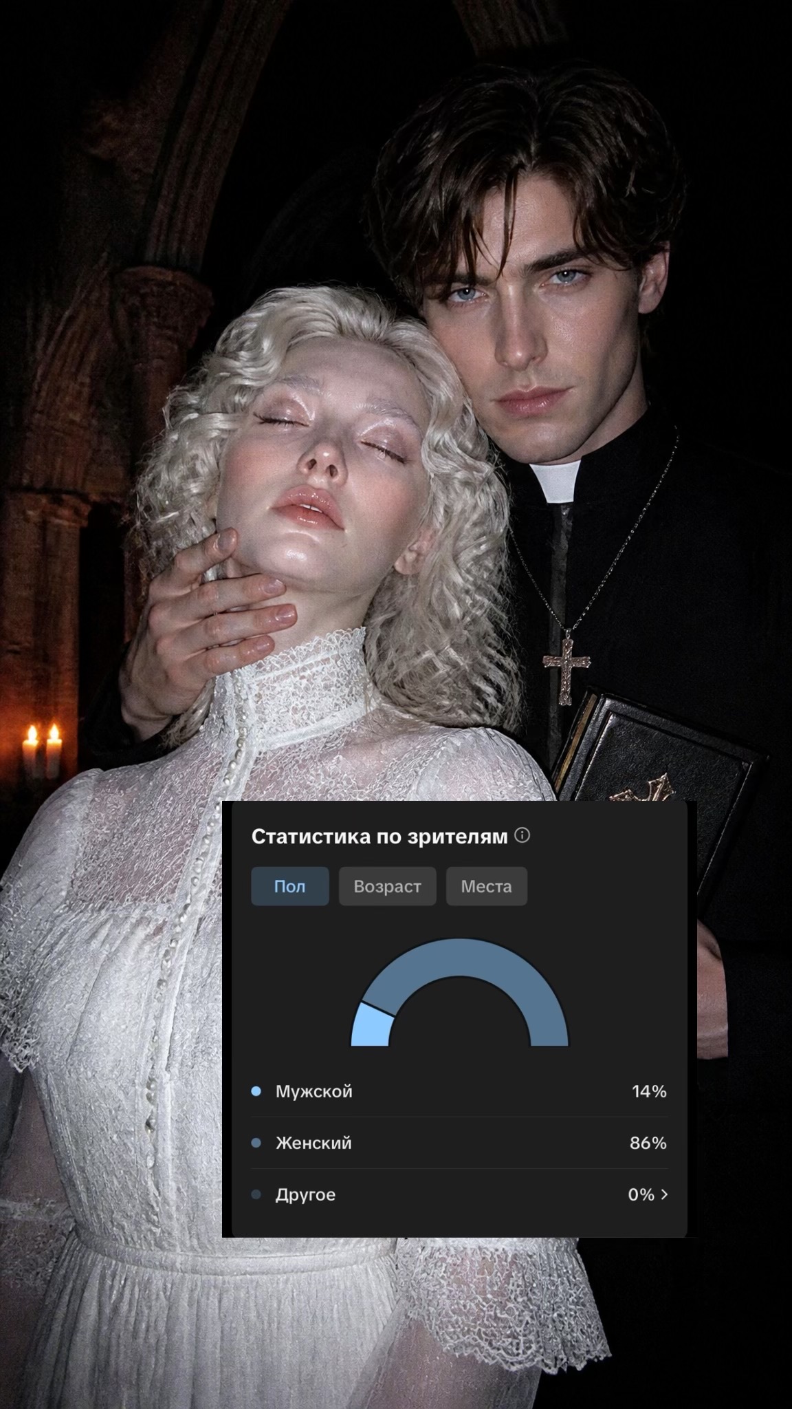 @кошка Шейда