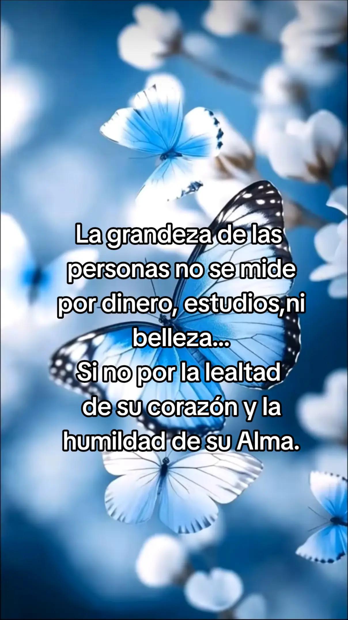 @Rafael V.J.(Lobito)