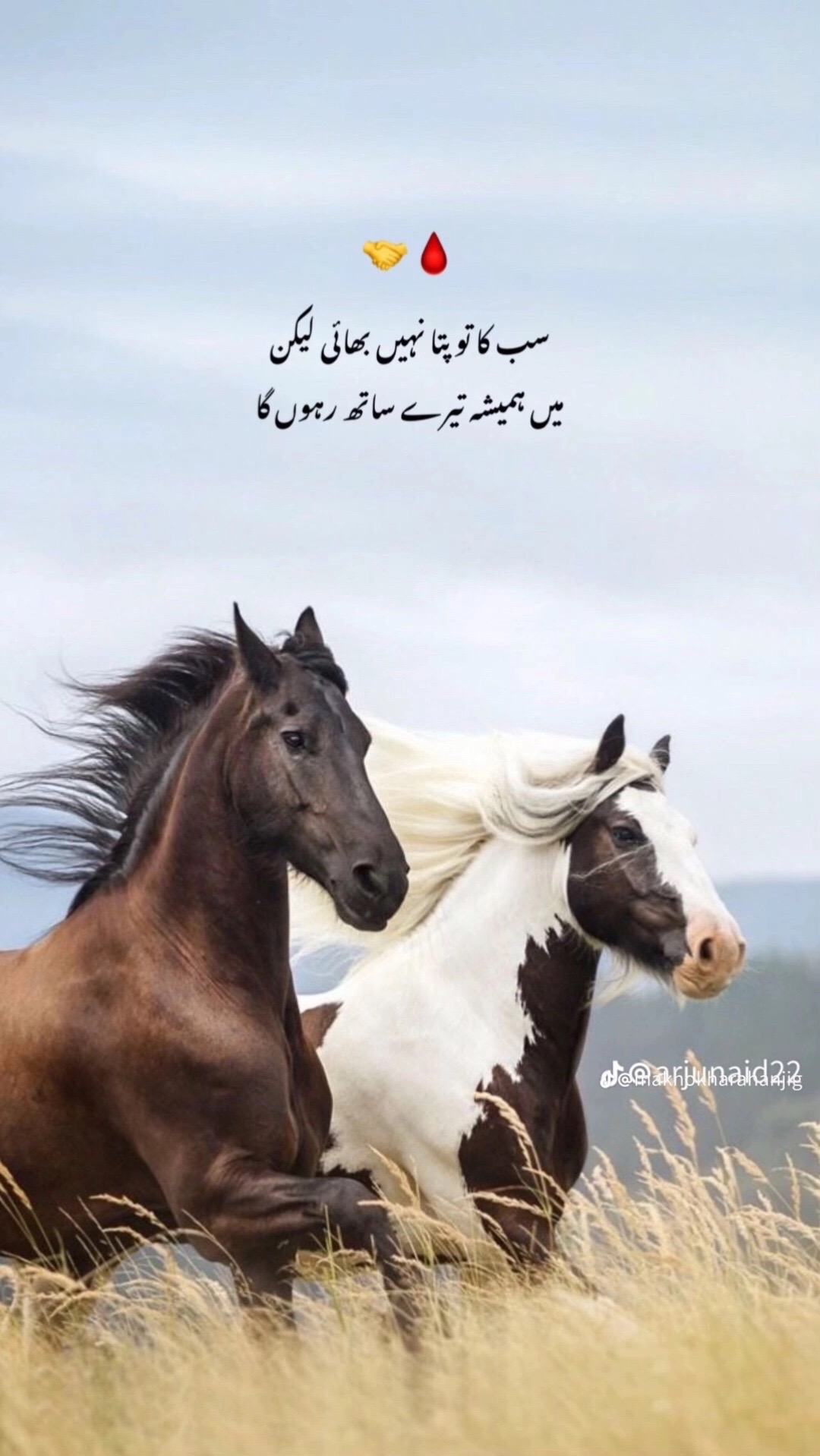 @علی(ع) پرست🕊️🙌