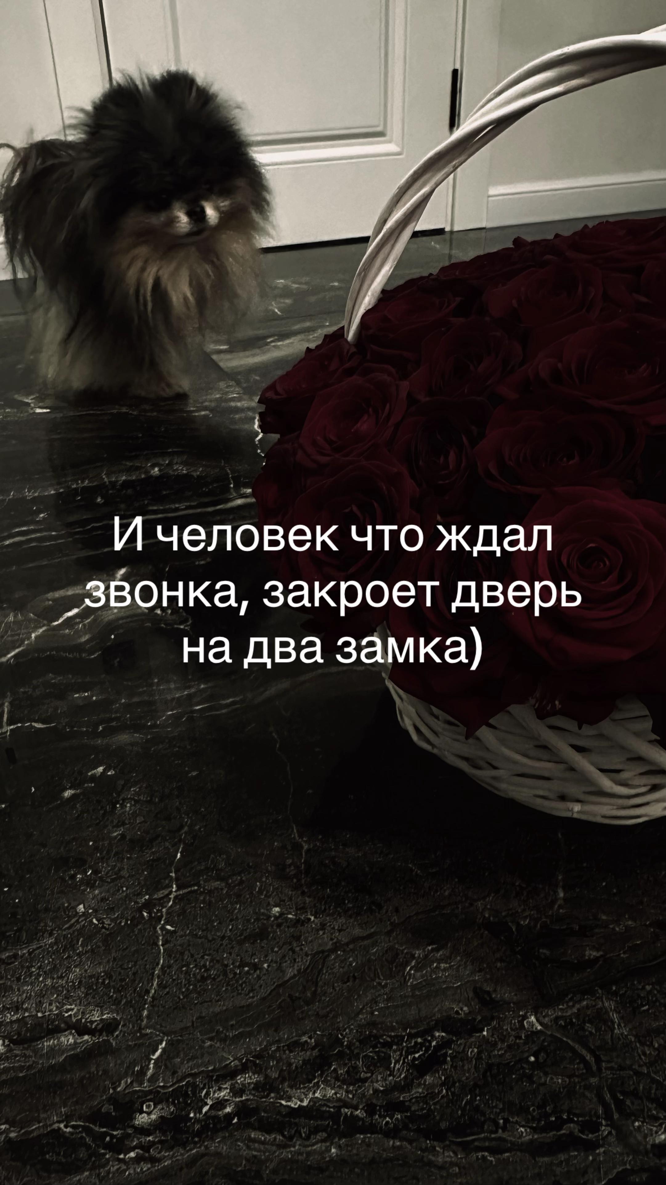 @Тгк: AARINYAN