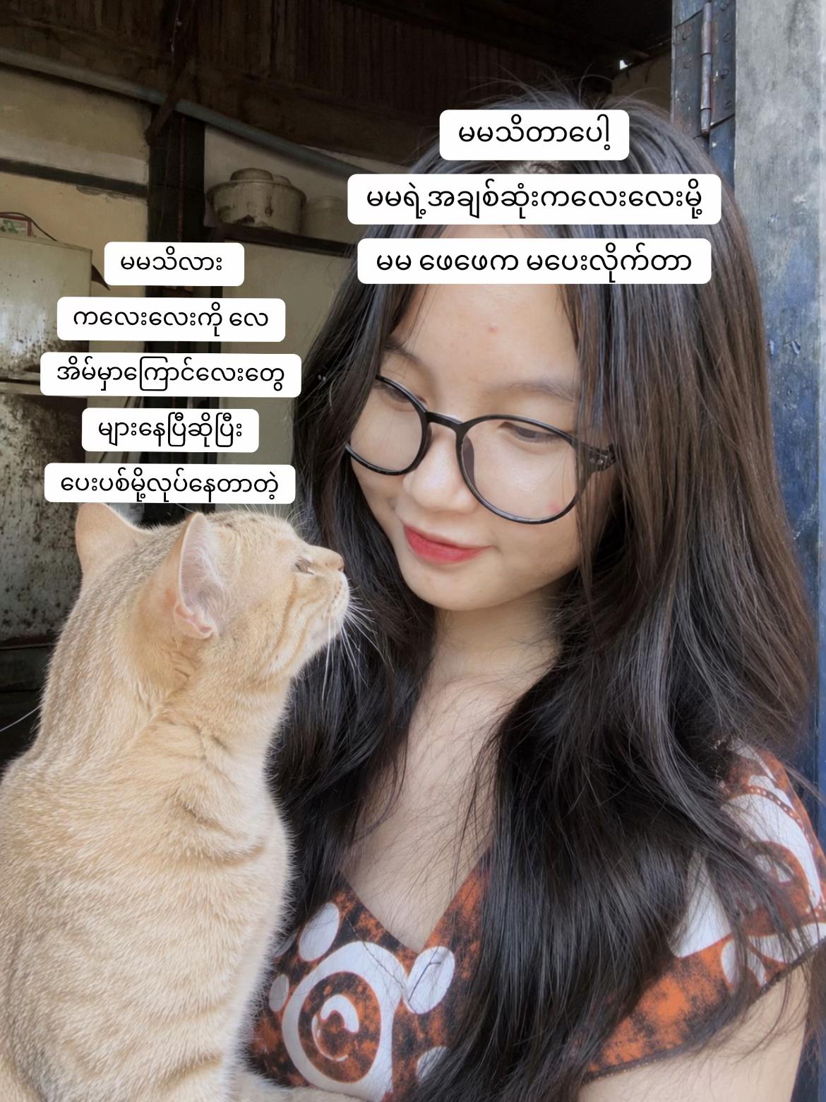@Aye Chan May ✨