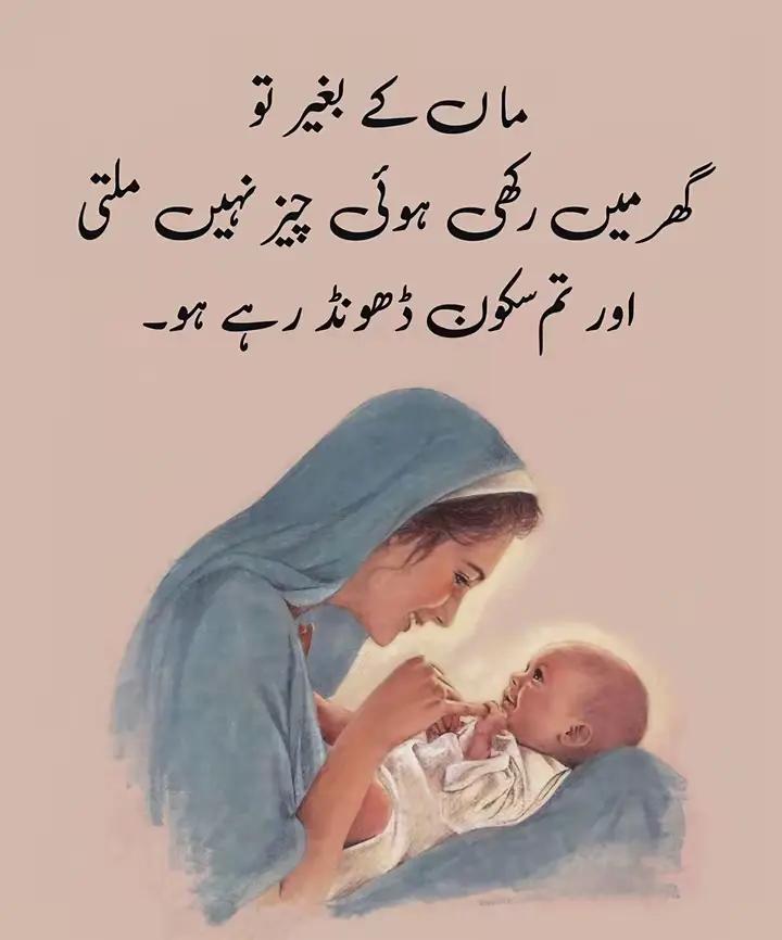@👑👑Amjad mehmood 56 king 👑👑