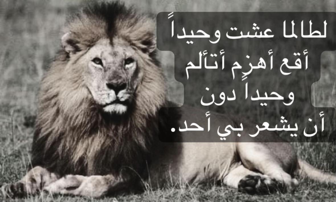 @🦁 scarface 🦁