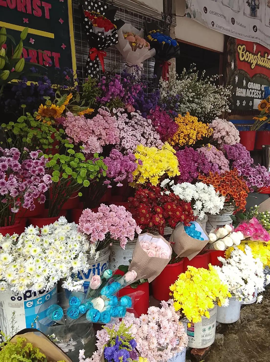 @kabir florist