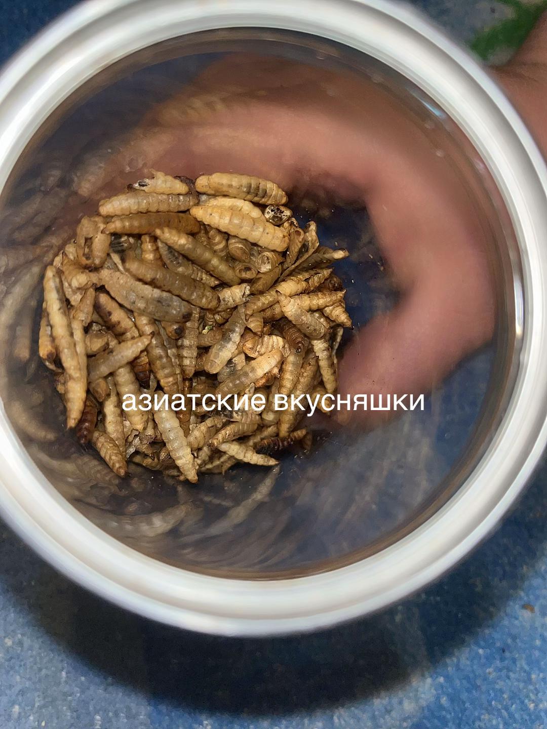 @☦️🇦🇲