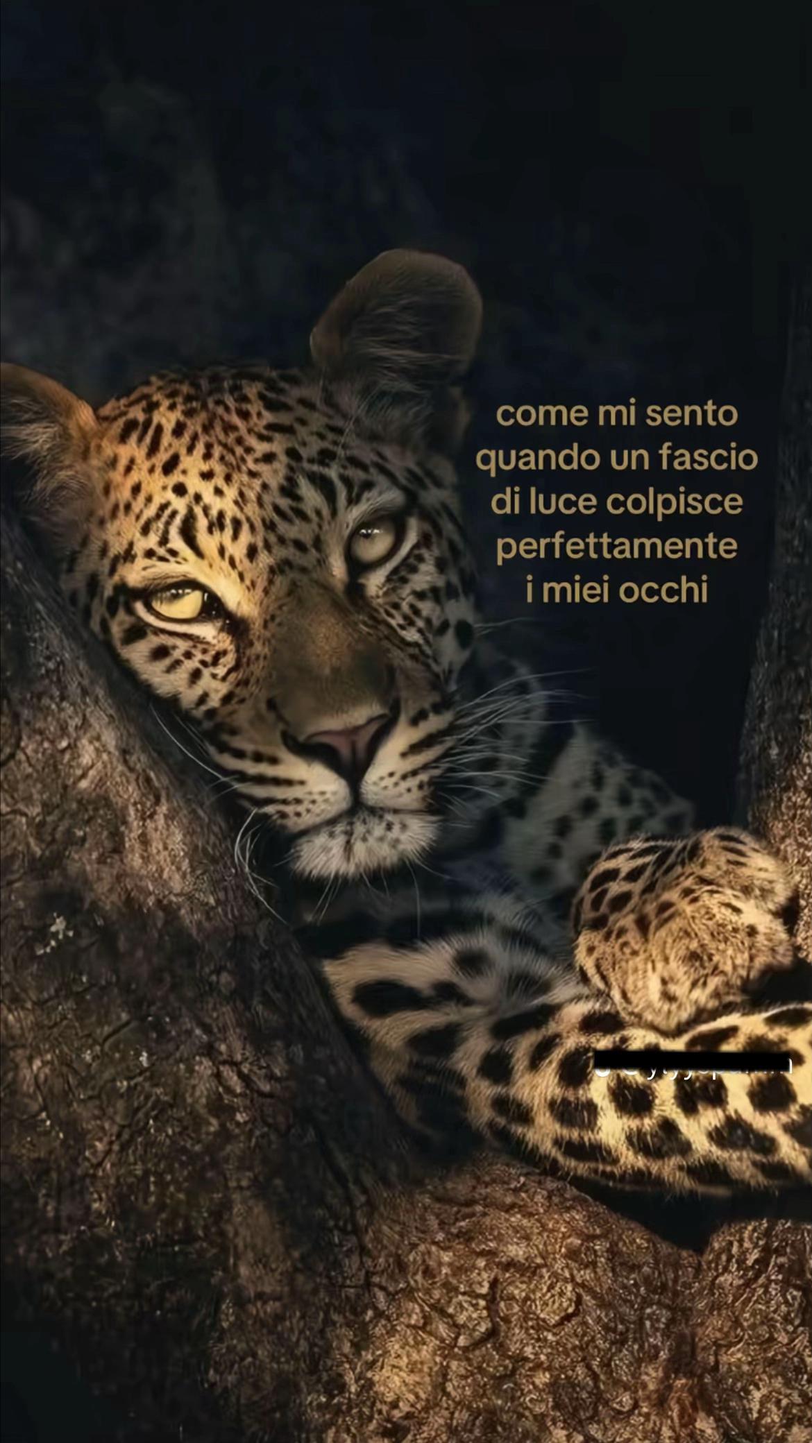 @giulia💫