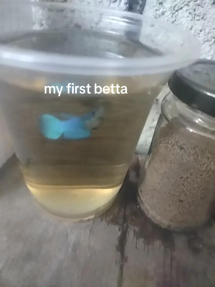 @Fish keeper