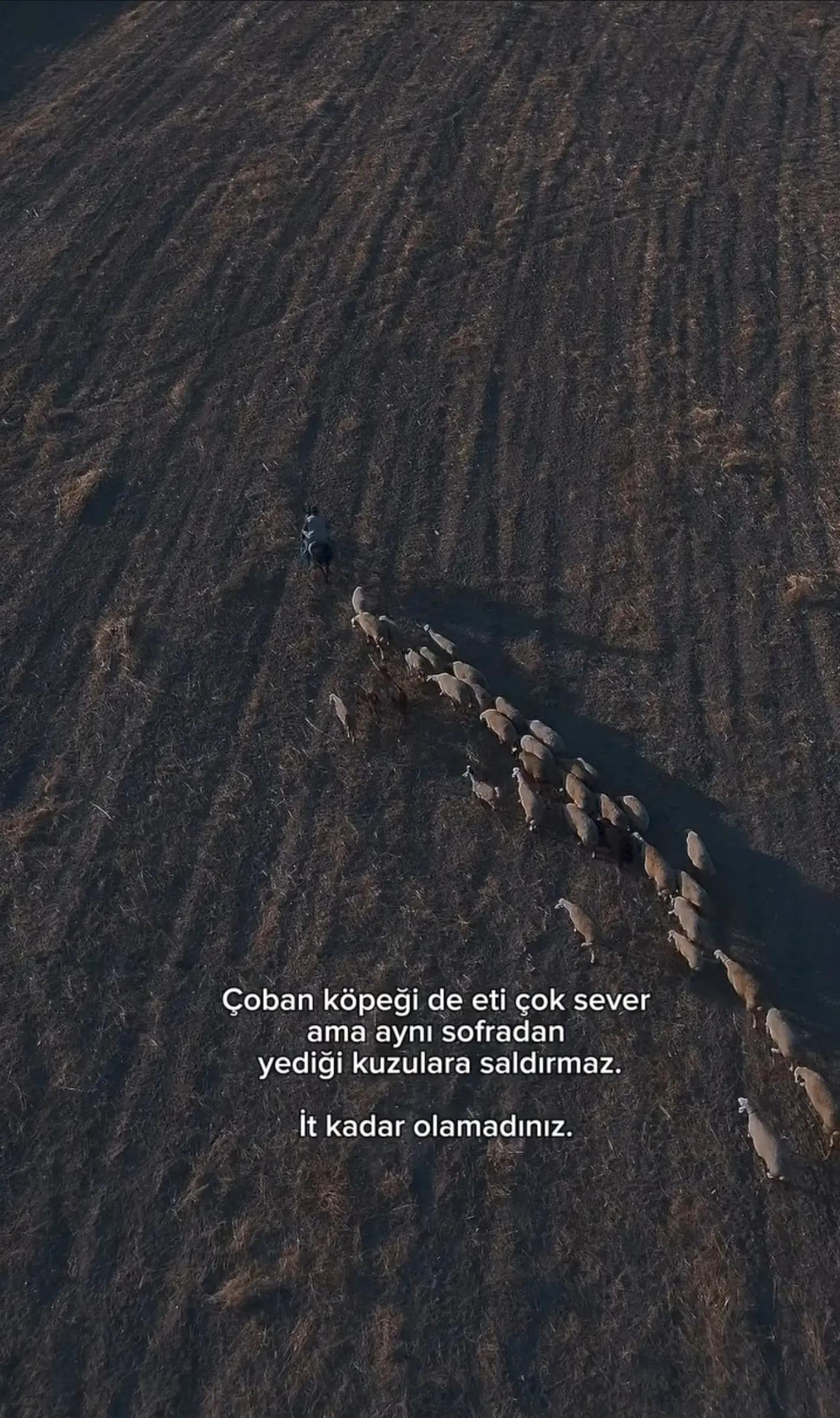 @Fakir Cümleler ๐น