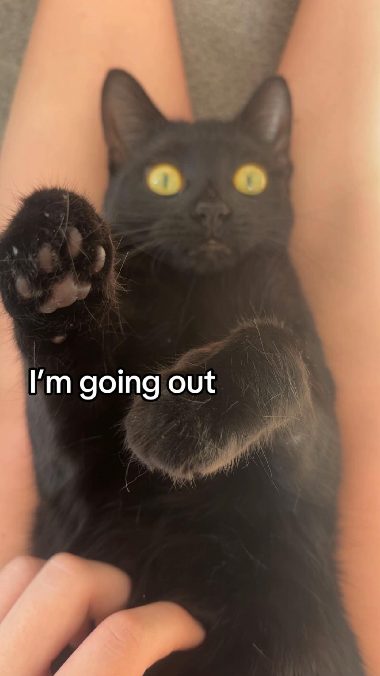@𝑨𝑳𝑰𝑪𝑬 𝑷𝑬𝑨𝑹𝑳ꨄ