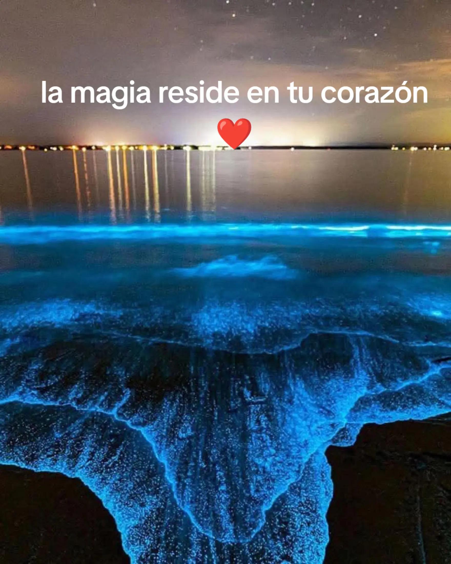 @sarita
